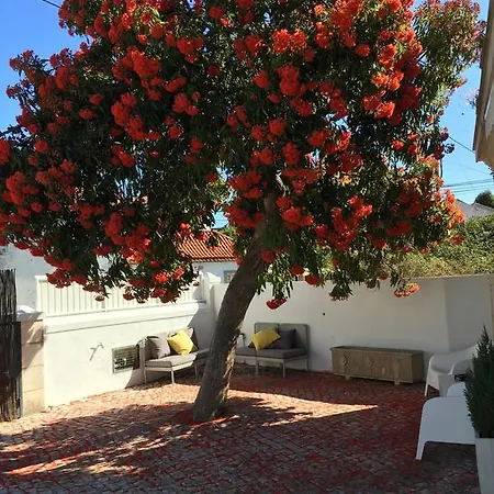 Guest house Cosy Sintra