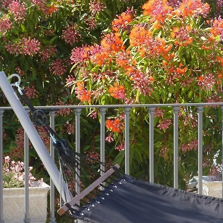 Cosy ゲストハウス 3*