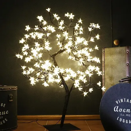 Cosy ゲストハウス 3*